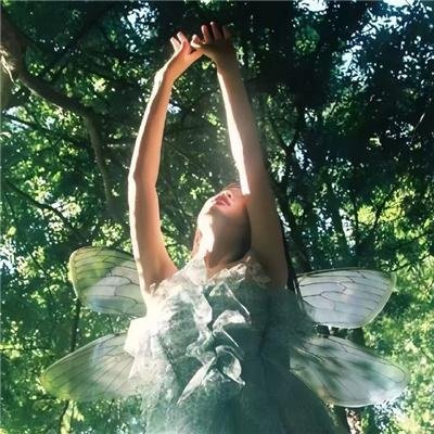 同志亦凡人第五季